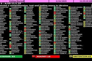 Valné shromáždění OSN přijalo ukrajinskou rezoluci, USA a Rusko byly proti - Novinky