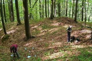 V Českém ráji nalezli po 13 letech vzácnou orchidej korálici trojklannou - Médium.cz