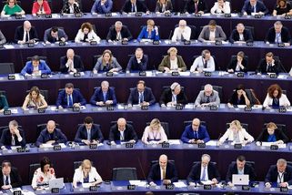 Europoslanci hnutí ANO se zdrželi hlasování o podpoře Ukrajiny. Turek s Konečnou byli proti - Novinky