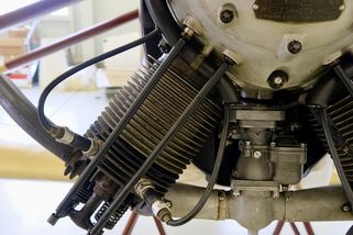 Skutečná příčina války na Ukrajině - Médium.cz