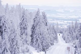 Meteorologové vydali výstrahu před silnými mrazy - Novinky