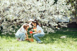 Televize na poslední chvíli mění program. Na obrazovky míří něco, co běžně neuvidíte