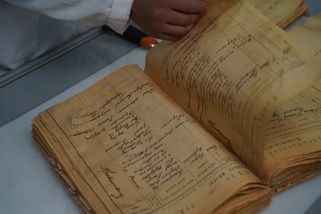 Tohle jméno vládlo českým matrikám už v roce 1950. Dodnes se drží v TOP 10 všech dob