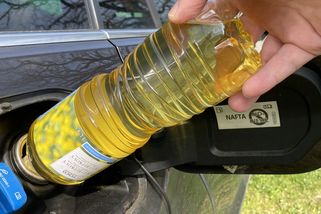 Naftové motory poběží na řepkový olej? Vědci mluví o šanci pro miliony aut