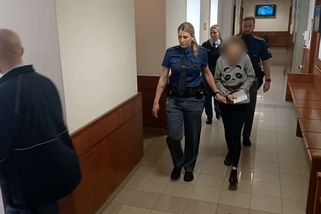 Matce ruply nervy a udusila plačící dítě. Vrchní soud jí potvrdil 13 let - Novinky