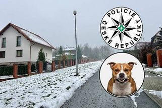 Kdo chrání Tarabu? Přístup policie k útokům psa v Havířově vzbuzuje podezření