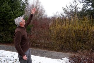 U hospice chce stavět developer. Pokud začne, stěhujeme se, varují doktoři - Seznam Zprávy