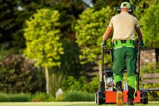 Vypořádejte se s mechem v trávníku! Jak? Jednoduše, pomůže vápno nebo levná domácí surovina