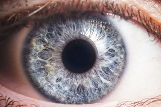 Vidíte správně barvy, nebo jste barvoslepí a ani o tom nevíte? Vyzkoušejte svůj zrak - Proženy.cz