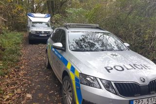 Frustrovaná důchodkyně z Klatovska podřízla partnerovi krk. Poslední kapkou bylo chrápání - Novinky