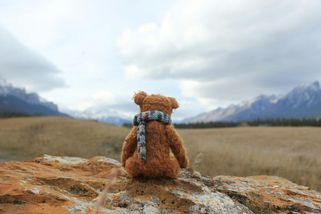 Co s Péťou? Co jsme to za společnost, když odsuzujeme pečující rodiče? - Médium.cz