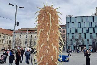 Prdící bakterie v centru Brna. Náměstí Svobody okupuje obří Escherichia coli
