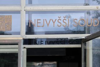 Nejvyšší soud zpucoval plzeňské policisty za akci, při které si vykoledovali ránu pěstí - Novinky