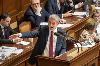 Babiš řekl, že se nenechá vydat ke stíhání v kauze Čapí hnízdo