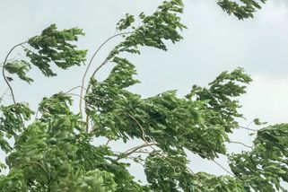 Jaro na čas skončí, o víkendu přijde silný vítr, přeháňky i sníh - Echo24.cz