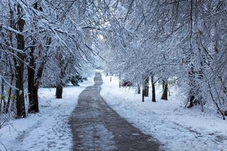 Předpověď na leden 2026 se před chvílí změnila. Meteorologové teď počítají s teplotním rozdílem až 22 °C