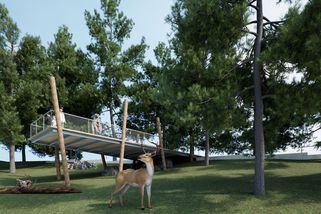 Brněnská zoo postaví novou expozici s visutou lávkou pro vzácné jeleny milu - Novinky