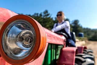 Nepojištěný traktůrek může vyjít na desetitisíce - Novinky