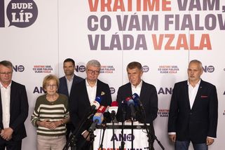 Průzkum: Volby by vyhrálo ANO, Motoristé by se do Sněmovny nedostali - Seznam Zprávy