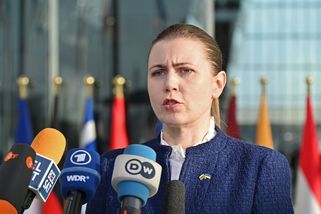 Kazetová munice a protipěchotní miny. Rusové už nikdy nepřekročí hranice mé země, říká litevská ministryně obrany - Novinky