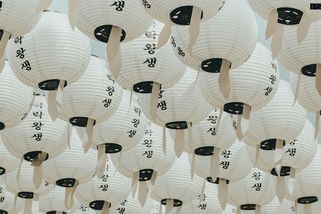 Proč milujeme korejské seriály? Tajemství se jmenuje „jeong“ a na Západě nám zoufale chybí