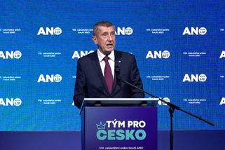 Mimochodem, mám večeři s Macronem, pochlubil se na sněmu Babiš | Novinky.cz: Domácí