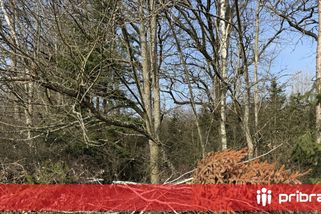 Bioodpad v Příbrami končí i v lese. Městské lesy ukazují fakta, která část veřejnosti nechce slyšet