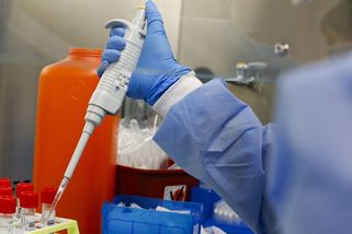 ON-LINE: V Česku přibylo 7798 nových případů nákazy koronavirem - Novinky