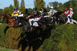 Expertní skupina: Smrt koně na Taxisu nebyla způsobená parametry překážky - Sport.cz