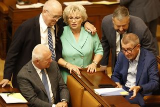 Babiš: Ať poslankyně ANO řekne, jestli nechala „zakleknout“ manželovu firmu - Seznam Zprávy