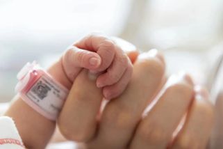 Tichá hrozba pro porodnost v Česku stále narůstá. A netýká se to jen žen - Echo24.cz