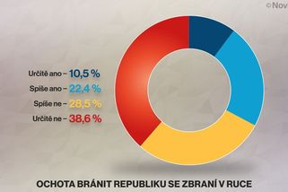 Se zbraní v ruce by vlast bránila třetina Čechů - Novinky