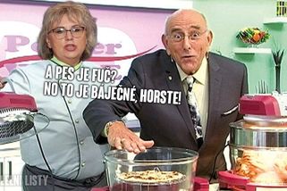 Obrazem: Kauza objednávky zabití psa odšpuntovala salvy lidového humoru - Seznam Zprávy