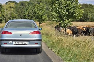 Ojetiny pod dohledem: EU chystá v roce 2026 pravidla, která zamíchají trhem a některá auta už nepůjdou přeregistrovat