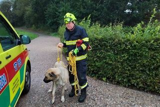 Muž na Vysočině skočil do rozvodněné Bystřice pro svého psa - Novinky
