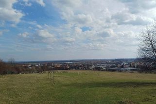 Plošné použití jedů zasáhne celou přírodu. Otrávit se mohou chránění živočichové i domácí mazlíčci - Médium.cz