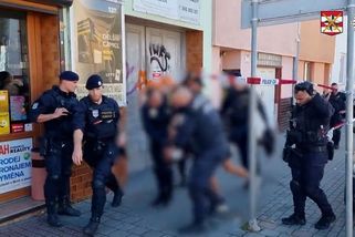 Pobodání školačky v Brně policie vyšetřuje jako pokus o vraždu, zadrženému hrozí výjimečný trest - Novinky