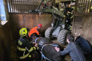 Hasiči pomohli bezmocnému koni zpět na nohy | hasici.cz