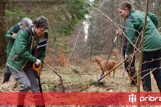 Ochranáři vylepšili v CHKO Brdy „porodnici“ pro mloky