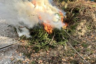 Zákaz pálení listí a větví na zahradě Karla rozčílil. Situaci vyřešil překvapivě snadno