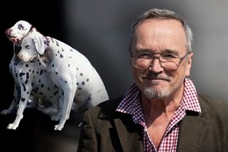 Kandidátovi hnutí Stačilo! uhynuli psi zavření v autě. Byl to trestný čin? - Seznam Zprávy