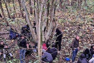 Houbař našel na Šumpersku migranty ze Sýrie - Novinky