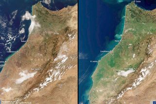 Sedm let sucha. Nyní se Maroko zazelenalo