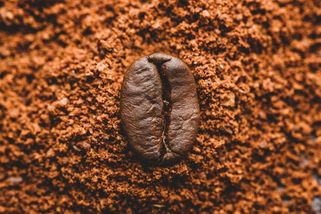 Obchod s kávou se kvůli cenám téměř zastavil - Seznam Zprávy