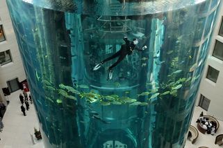 Fotky z Berlína, kde prasklo obří akvárium - Seznam Zprávy