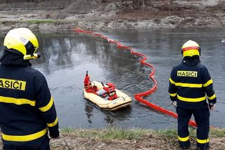 Hladinu Odry pokryly stovky mrtvých ryb - Novinky