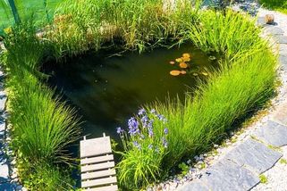 Směšné účty za vodu: Domácí čističku zvládne kutil skoro sám, ročně šetří tisíce