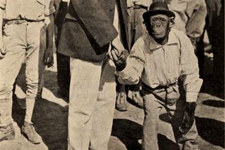 Stalinův experiment za miliony: Chtěl armádu supervojáků, zbyly po něm jen mrtvé opice a ostuda