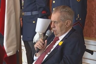 Zeman povolil Čechům bojovat na Ukrajině. Odjet může 103 dobrovolníků