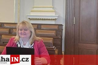 prahain.cz/politika/nejvetsi-spina-prijde-v-zari-vzkazala-poslankyne-stan-24073.html